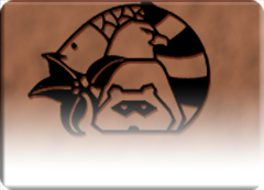 Icon image for Publications of the Oklahoma Biological Survey