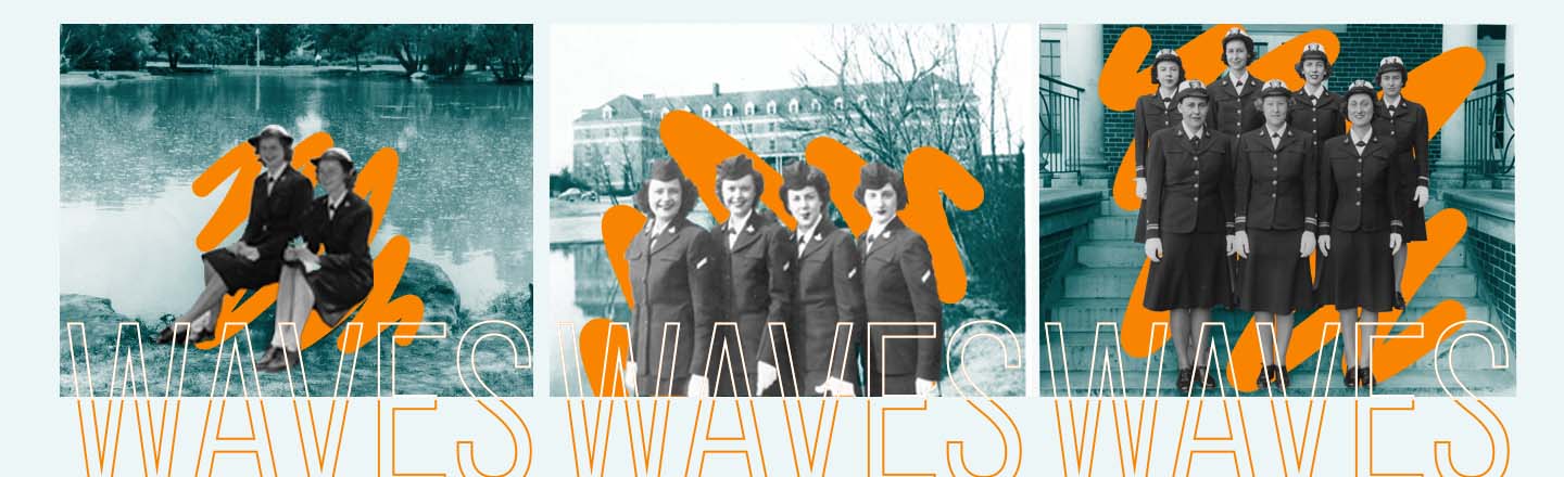 image of WAVES at OAMC