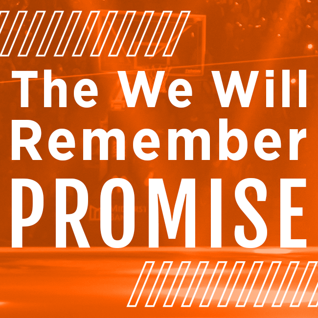 Icon image for We Will Remember Promise