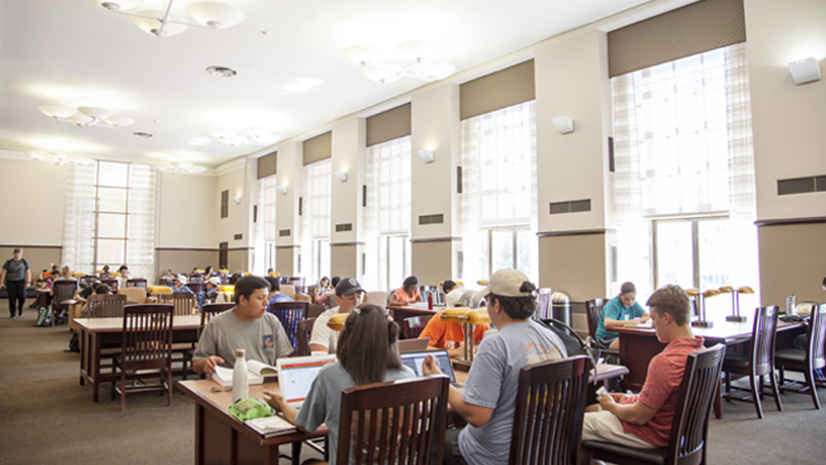 Image for School of Architecture faculty member using library's open journal resource