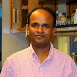Image for Ramanjulu Sunkar
