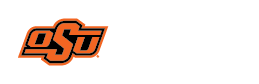 Secondary Logo